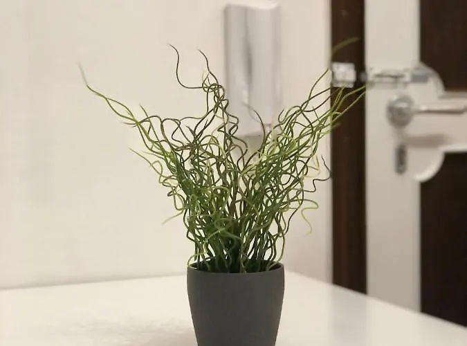 Rialto بولونيا